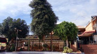 GC-CC Kasbah (Pl Ingles) 2026-22.jpg